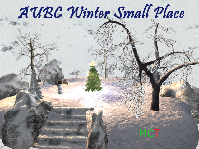 AUBC Winter  Small Place