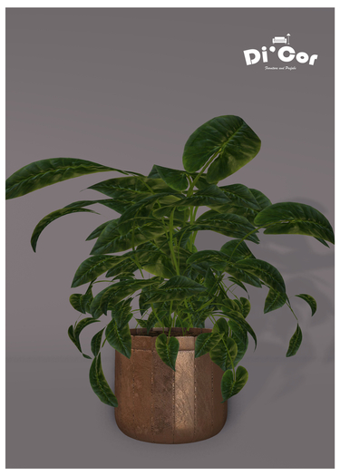 Di'Cor PhiloDendron Plant