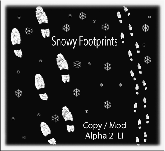 Snowy Footprints