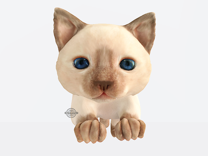 O.M.E.N | Siamese Kitty | Wear or rez