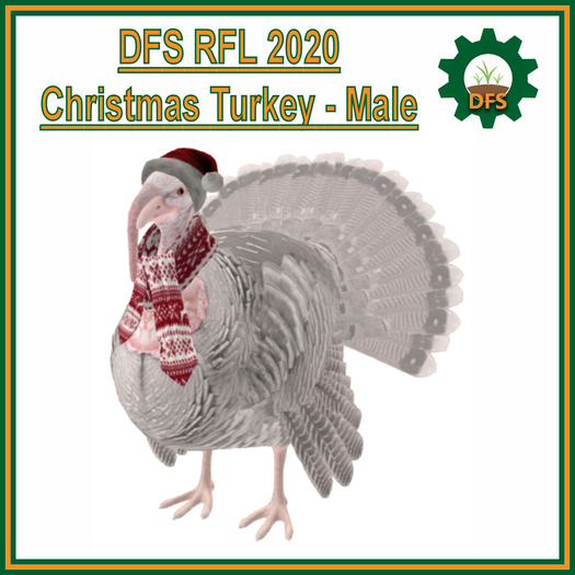 DFS RFL 2020 Christmas Turkey - Male (Texture)