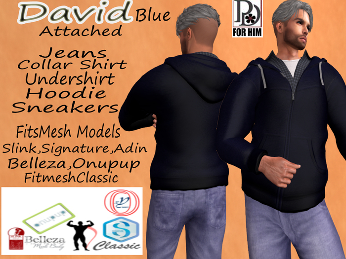 !PD-DavidCompleteBlue