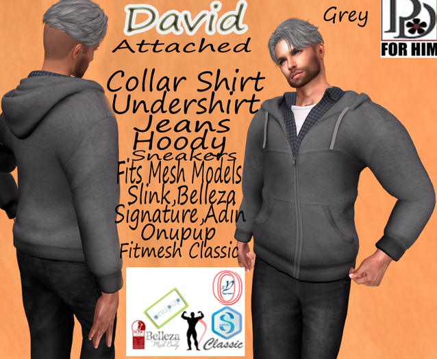 !PD-DavidCompleteGrey