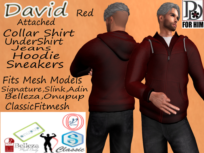 !PD-DavidCompleteRed