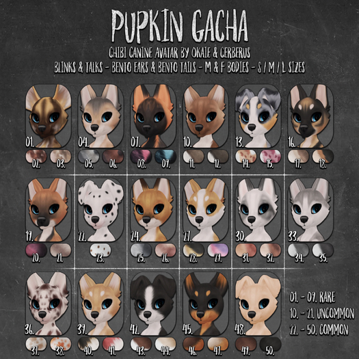 .{o}. Pupkin // 04 RARE // Coyote // Voucher