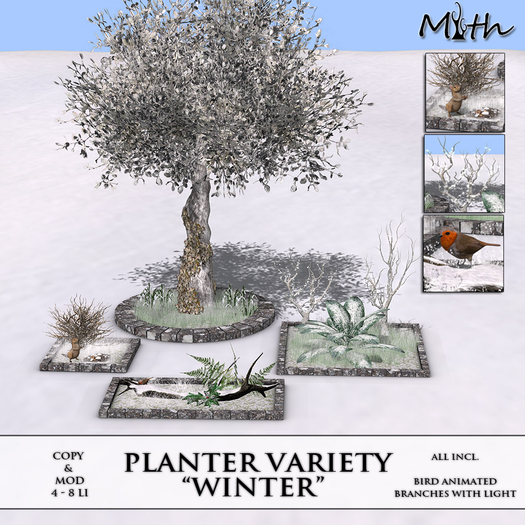 Myth - Planter Varity Winter