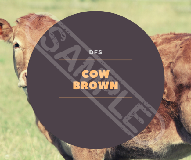 TEXTURE DFS Cow Brown