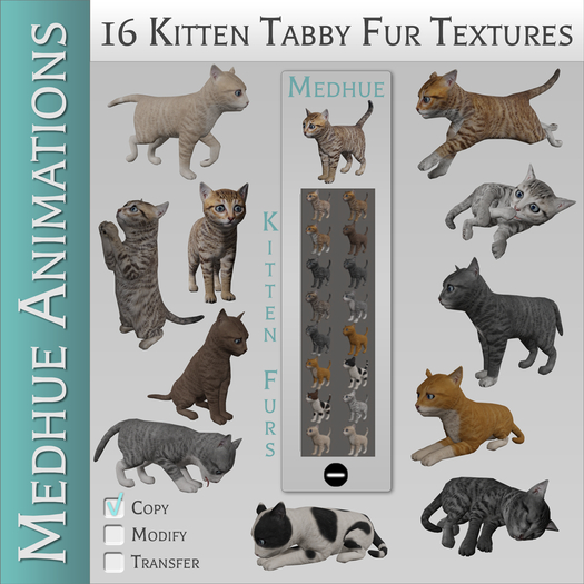 Medhue Kitten Tabby Fur Textures