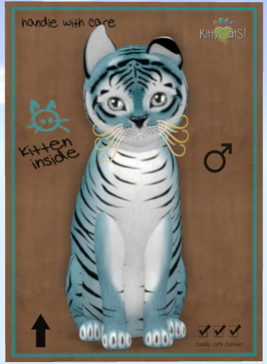 KittyCatS Box - Tiger! - Dusky Blue