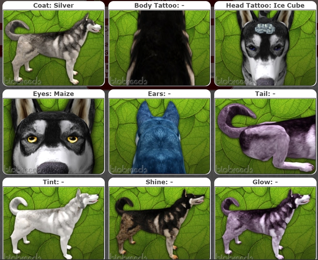 BB Husky Box