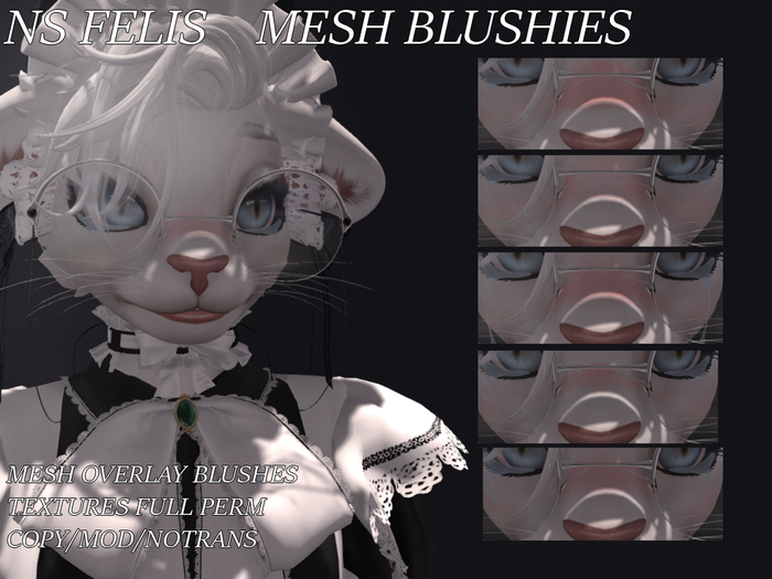 NS Felis rigged blushies 