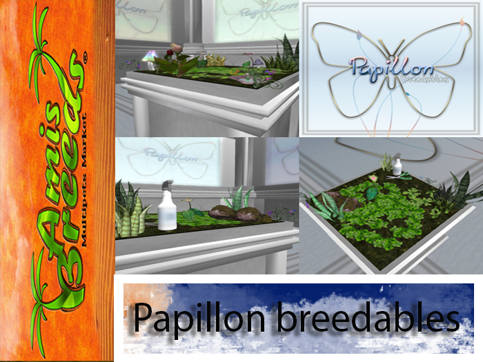 {Papillon} Random Seed