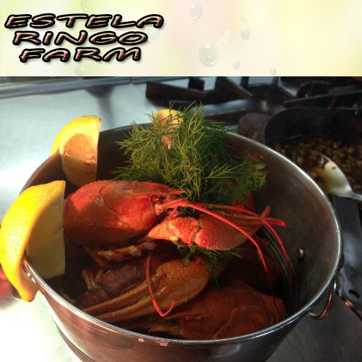 DFS Lobster Bucket x 10