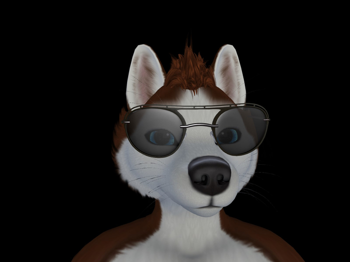 Silhouette Sunglasses