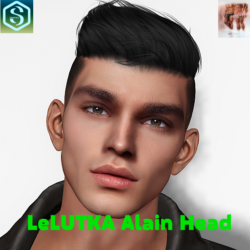 SHAPE LeLUTKA Alain Head/LEGAСY/SIGNAT/MESHBODI