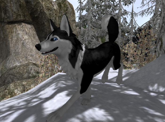 TWI Wolf Mod Oreo Husky