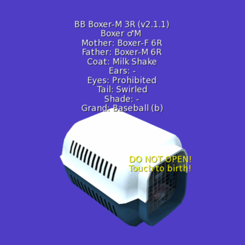 Bb Roxer Second Life Marketplace - BB Boxer Male - 3 Rare Traits