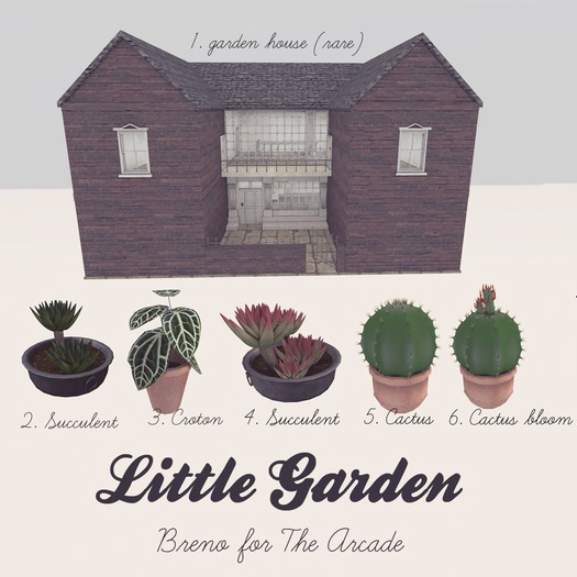 [Breno] Cactus(boxed) 