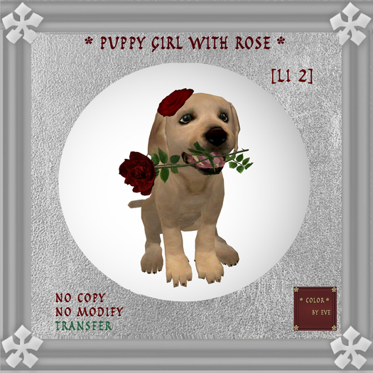 Cute Puppy Girl