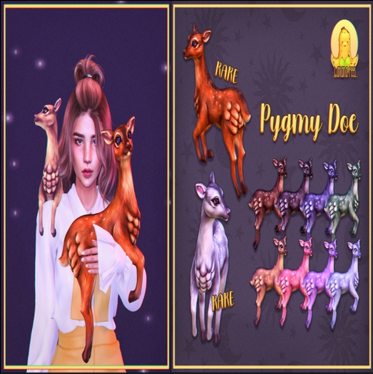 .bp. pygmy doe {fox} RARE
