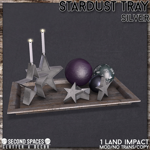 Second Spaces - Stardust - decorative tray silver (bxd)