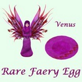 WW_Egg Rare Venus
