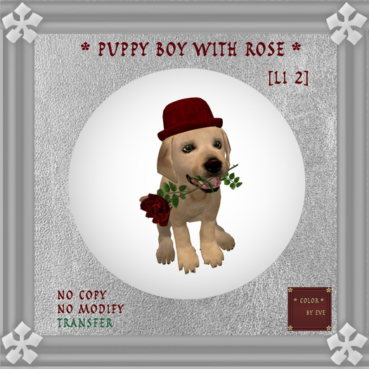 [Color by Eve]  Valentine Puppy Boy  T- Box