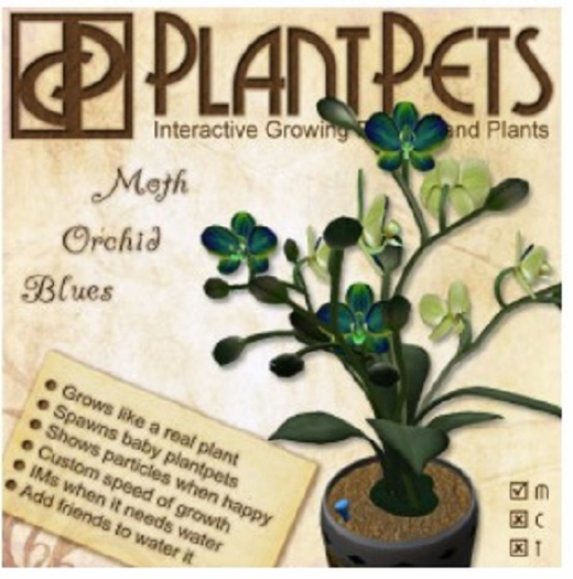 PlantPet Seed [Moth Orchid *Blues*]