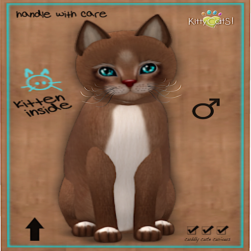 KittyCatS Box - RainDearS! 2 - "The Boy"  TOY