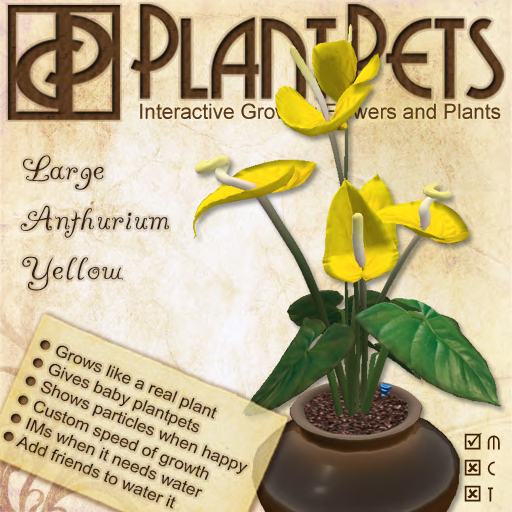 PlantPet Seed [Large Anthurium *Yellow*]