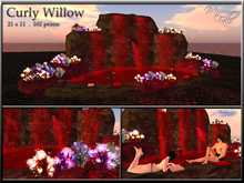 Curly Willow - Blood Waterfall