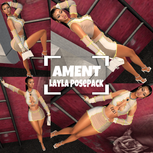 AMENT - The Layla PosePack (Bento)