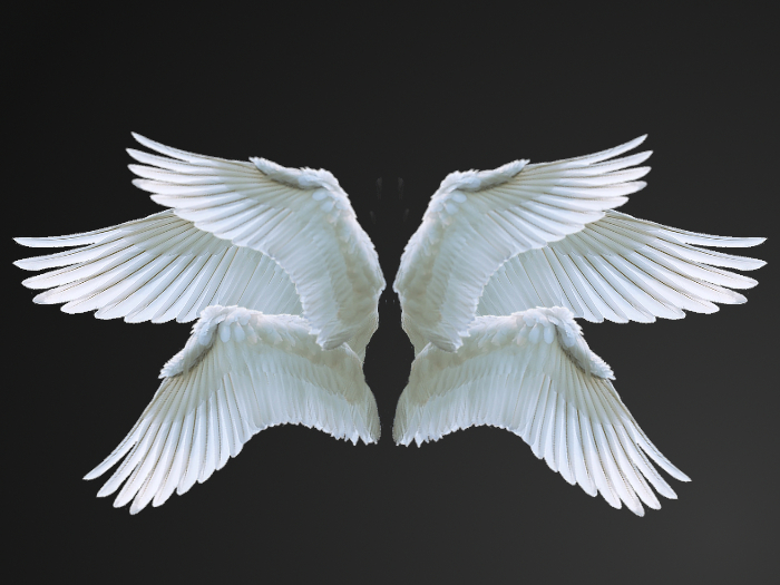 [Anima] Serafin Flexi Wings