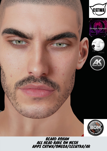 !O.S! Beard Rohan BOM/Omega/AK/ Lelutka/Catwa