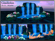Gladiolus - Blue Waterfall