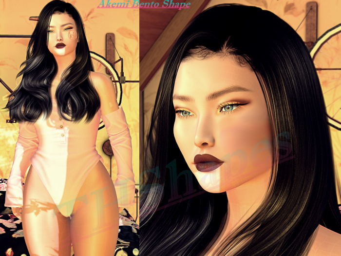 Akemi Bento Shape