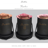Dahlia - Timeless - Thinking of You Set - Preserved Roses