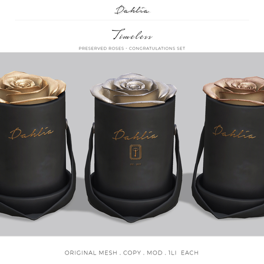 Dahlia - Timeless - Congratulations Set - Preserved Roses