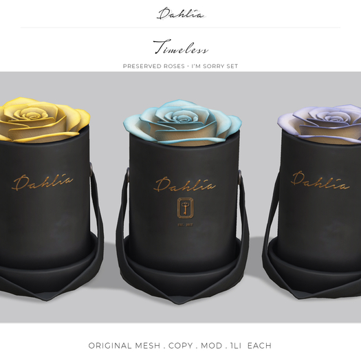 Dahlia - Timeless - I'm Sorry Set -  Preserved Roses