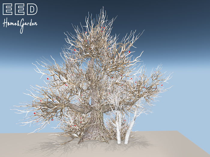 EED's WINTERTREE SET 1 resizer c