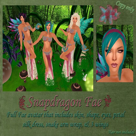 TempT~Snapdragon Fae AV