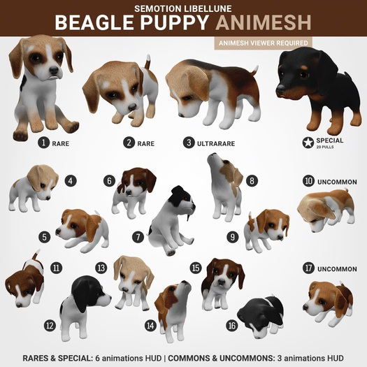 SEmotion Libellune Beagle Puppy #1 RARE