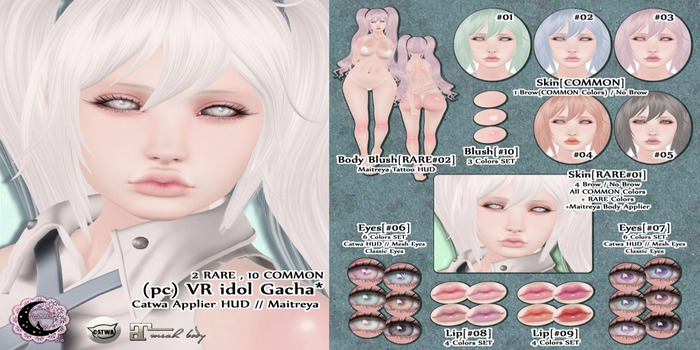 (pc) VR idol - Skin [COMMON#01*] (BOX)