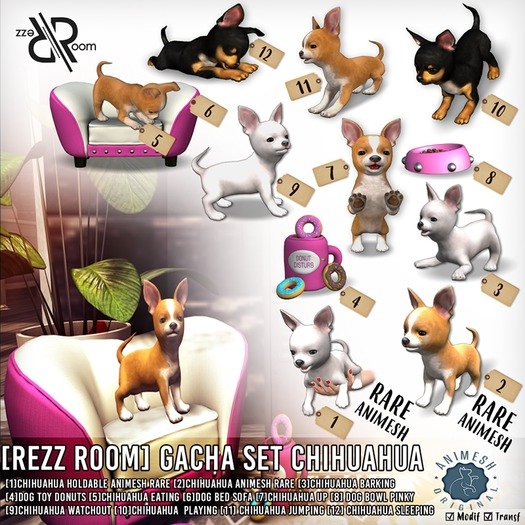 [Rezz Room] Pack Chihuahua Barking