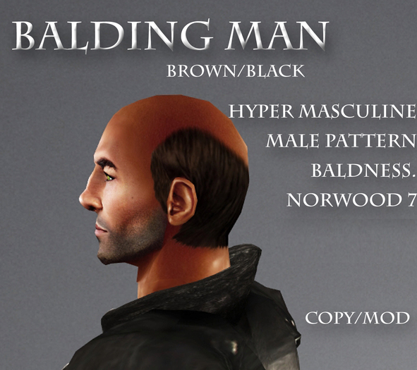 Balding Man, Dark Brown