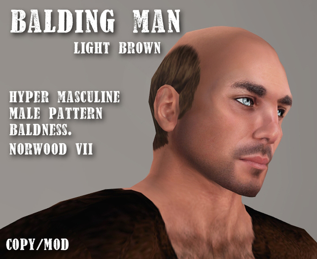 Balding Man Light Brown