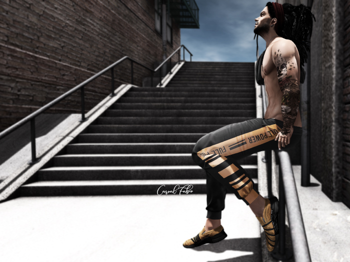 Ladder ::Casual ::