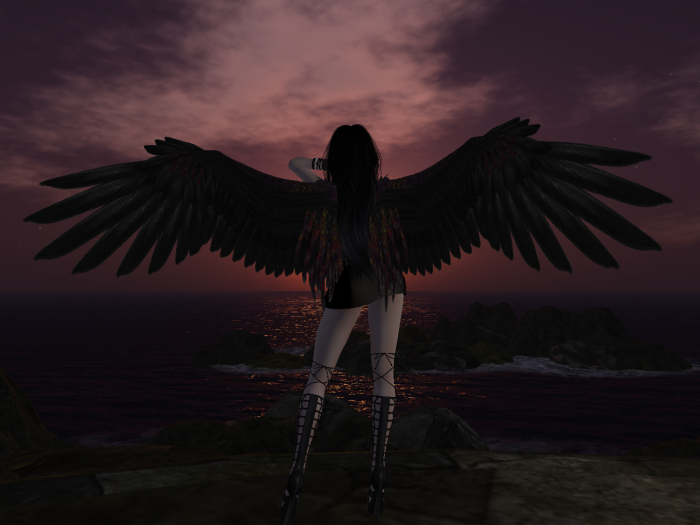 [Anima] Dark Angel Wings