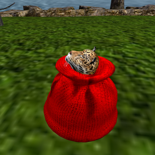 WK Spice Jaguar