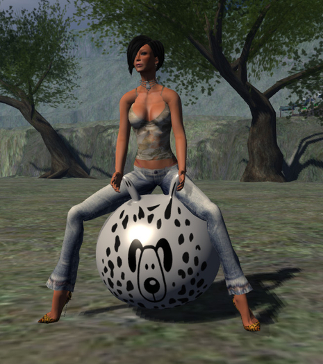 P335 BOUNCE bouncing ball Dog